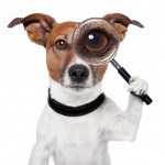 Don't let too many formatted searches make your system run like a dog