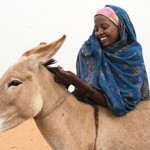 Donkeys are a kick-ass way to help in disaster relief